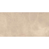 Керамогранит Imola Genus Gnsg 12B Rm 60x120