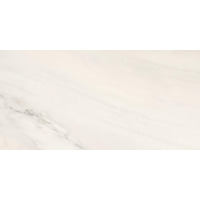 Керамогранит Imola Genus Gnsg 12W Rm 60x120