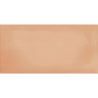 Imola Gesso Mattone 10x20