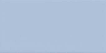 Imola Icona Celeste Medio 10x20