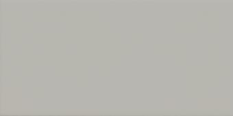 Imola Icona Grigio 10x20