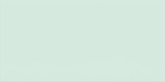 Imola Icona Latte Menta 10x20