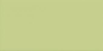 Imola Icona Verde Oasi 10x20