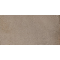 Керамогранит Imola Origini Orgn 36Cp Rm 30x60