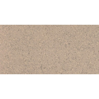 Керамогранит Imola Parade Prde 12B Rm 60x120
