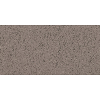 Керамогранит Imola Parade Prde 12G Lv 60x120