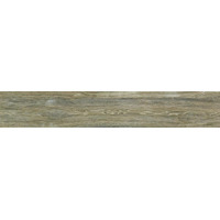 Керамогранит Imola Wood 161V 16.5x100