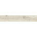 Керамогранит Impronta Italgraniti Alnus Puro Antislip 20x120