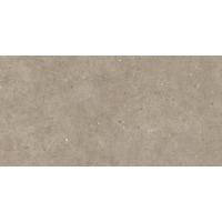 Керамогранит Impronta Italgraniti Silver Grain Taupe 60x120