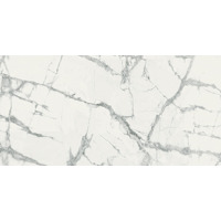 Керамогранит Italon Charme Deluxe Invisible White Cerato 60x120