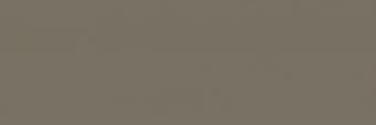 Italon Element Silk Terra 25x75