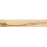 Керамогранит Italon Element Wood Acero 20x120