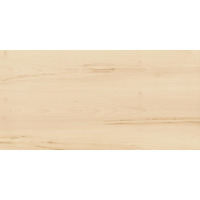 Керамогранит Italon Element Wood Acero Ret 60x120