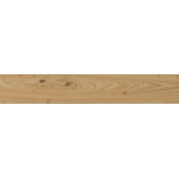 Керамогранит Italon Element Wood Olmo 20x120