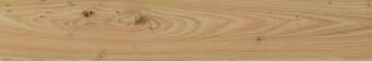 Керамогранит Italon Element Wood Olmo 20x120