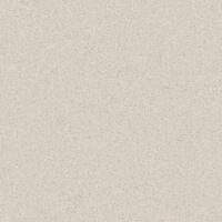 Керамогранит Italon Solid White Ret 60x60