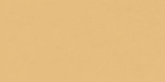 Керамогранит Italon Surface Sun Cerato 60x120