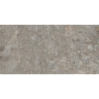 Керамогранит Keope Artemis Grey 60x120