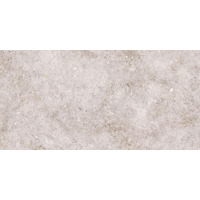 Керамин Болонья 1 30x60