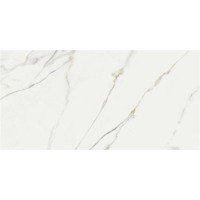 Керамогранит KTL (Keratile) Aston Gold Pulido 60x120 (AstonGoldPulido60x120)