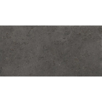 Керамогранит La Fabbrica Le Pietre D Europa Lux Dark Rett 50x100