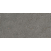 Керамогранит La Fabbrica Le Pietre D Europa Lux Fumo Rett 50x100