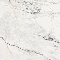 Керамогранит La Faenza Aesthetica Paonazzetto Matt 120x120
