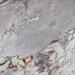 Керамогранит La Faenza Aesthetica Unico Grey 120x120
