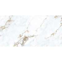 Керамогранит Laparet Statuario Martin 60x120