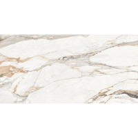 Керамогранит Laparet Statuario Porshe 60x120
