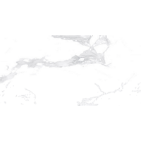 Laxveer Ceramic LLP AutenticWhite CelaStatuarioAuthentic Глазурованный керамогранит