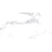 Laxveer Ceramic LLP AutenticWhite CelaStatuarioAuthentic Глазурованный керамогранит