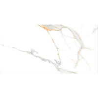 Laxveer Ceramic LLP AutenticWhite OrlandoNaturalAuthentic Глазурованный керамогранит