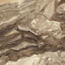 Керамогранит 6060PRS21P Persia Brown 60x60 - фото в интерьере