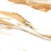 Керамогранит 6060STA31P Statuario Bronze 60x60 - фото в интерьере