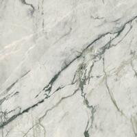 Керамогранит Lea Ceramiche Synestesia Calacatta Emerald Smooth 120x120