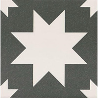 Керамогранит Mainzu Fired Star Black 20x20