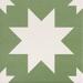 Керамогранит Mainzu Fired Star Green 20x20