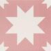 Керамогранит Mainzu Fired Star Pink 20x20