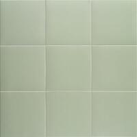 Керамогранит Mainzu Technical Soft Basil 20x20