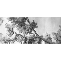 Marazzi Grande Resin Look Grisaille A Bianco Satin 120x278