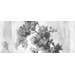 Marazzi Grande Resin Look Grisaille C Bianco Satin 120x278