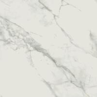 Керамогранит Meissen Calacatta Marble White Polished Mat 79.8x79.8
