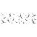 Meissen Elegance White Insert Birds 25x75