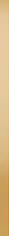 Meissen Organic Metal Gold Border 0.5x75