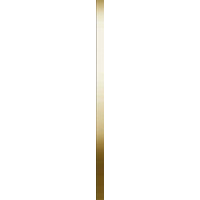 Meissen Organic Metal Gold Matt Border 0.5x75