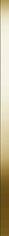 Meissen Organic Metal Gold Matt Border 0.5x75