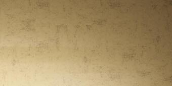 Mirage Miroir Gold 120x278