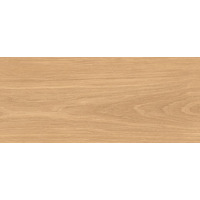 Керамогранит Mirage Oudh Pino Sp Sq 120x278