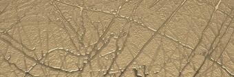 Mirage Reflet Bc Midi 20x60